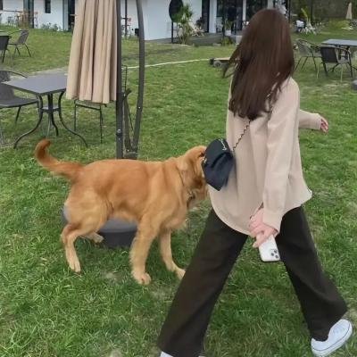 圣约之外:摩西的故事